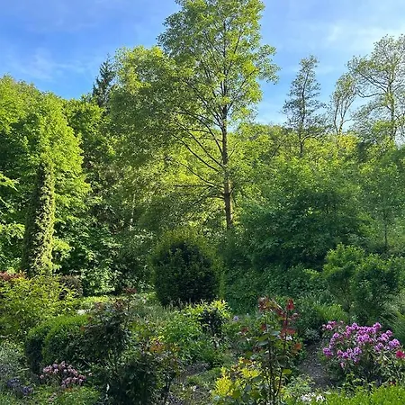 Wald-idyll: Urlaub Im Grünen Bad Harzburg